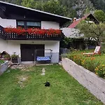 Apartma Vidic Apartment Gozd Martuljek