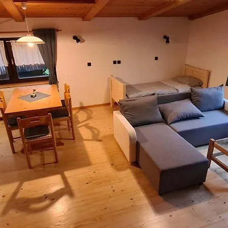 Апартаменты Apartma Vidic *