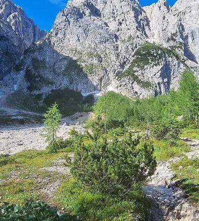 公寓 Apartma Vidic