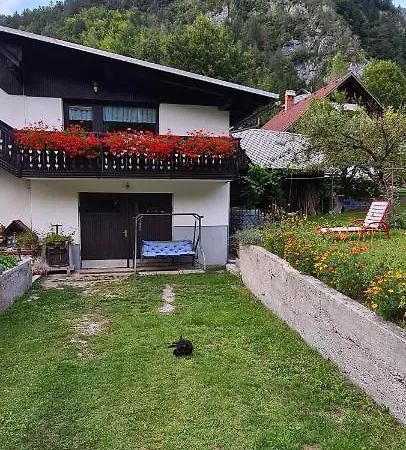 Apartma Vidic Appartamento Gozd Martuljek