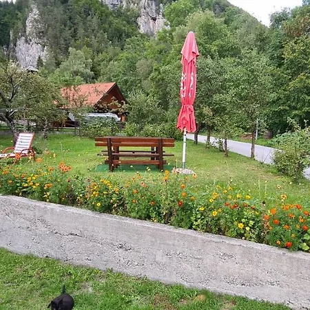 Apartma Vidic Gozd Martuljek