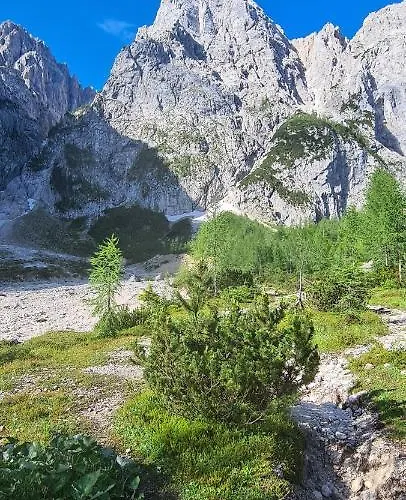 アパート Apartma Vidic