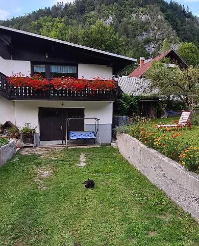 Apartma Vidic Appartement Gozd Martuljek